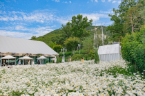 5월 온가족이 즐길 수 있는 '인천 여행명소'