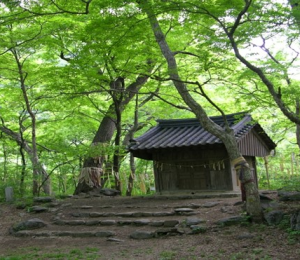 환경부 '신규 생태관광지' 5곳 선정...고양·서귀포·영덕·원주·장수 등