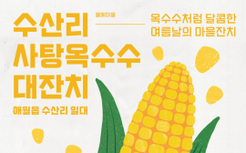 제주 '수산리 사탕옥수수 대잔치' 14~15일 개최