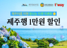 티웨이서 제주 왕복권 예매시 '1만원 할인쿠폰'